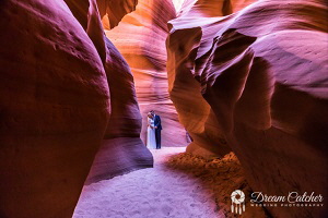Canyon X Image